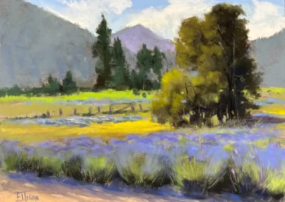 English Lavender farm, by Janis Lacey Ellison