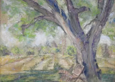 Made in the Shade, by Linda G Evans