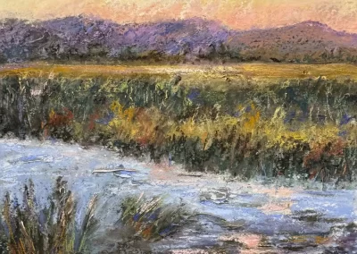 Portola Marsh, by Suzanne Leslie