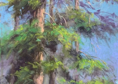 High Desert Sunlight, by Gretha Lindwood