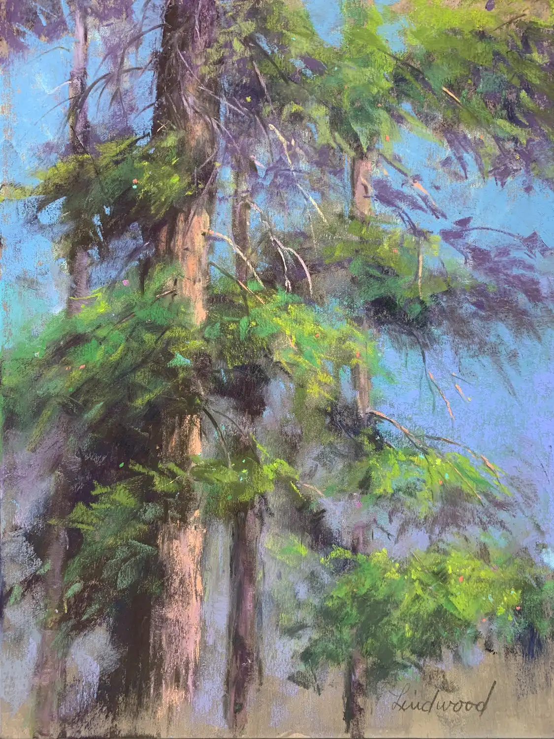 Second Place $250 High Desert Sunlight Gretha Lindwood