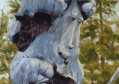 Contemplation, by Donna Stevens