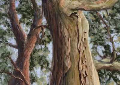 Sasha, by Donna Stevens