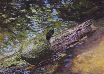 Drifter, by Harley Talkington