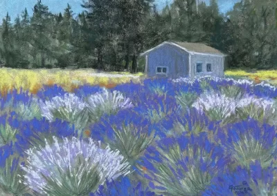 Lavender Mix, by Ginger Toomer