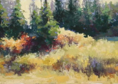 2026 Spirit of Pastel (SOP) Fourth Biennial Open Juried Exhibition Accepted Artist - Established: Quiet Light by Diane Fechenbach