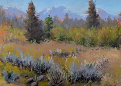 2026 Spirit of Pastel (SOP) Fourth Biennial Open Online Juried Exhibition Accepted Artist - Established: A Favorite Meadow by Nancy Lee Misek