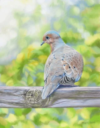 2026 Spirit of Pastel (SOP) Fourth Biennial Open Juried Exhibition Award Winner - Established: Best of Show * Mourning Meditation, by Mary Ann Pals