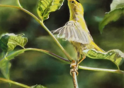 2026 Spirit of Pastel (SOP) Fourth Biennial Open Online Juried Exhibition Accepted Artist - Established: A Delicate Balance by Kimberly A Wurster